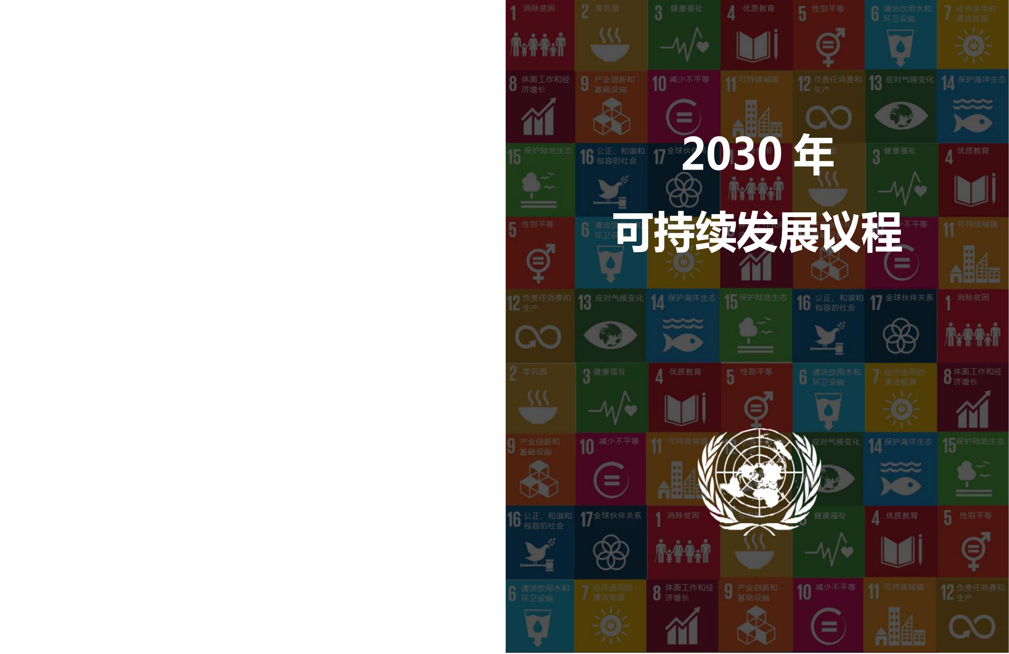 联合国可持续发展目标全球青少年挑战计划 