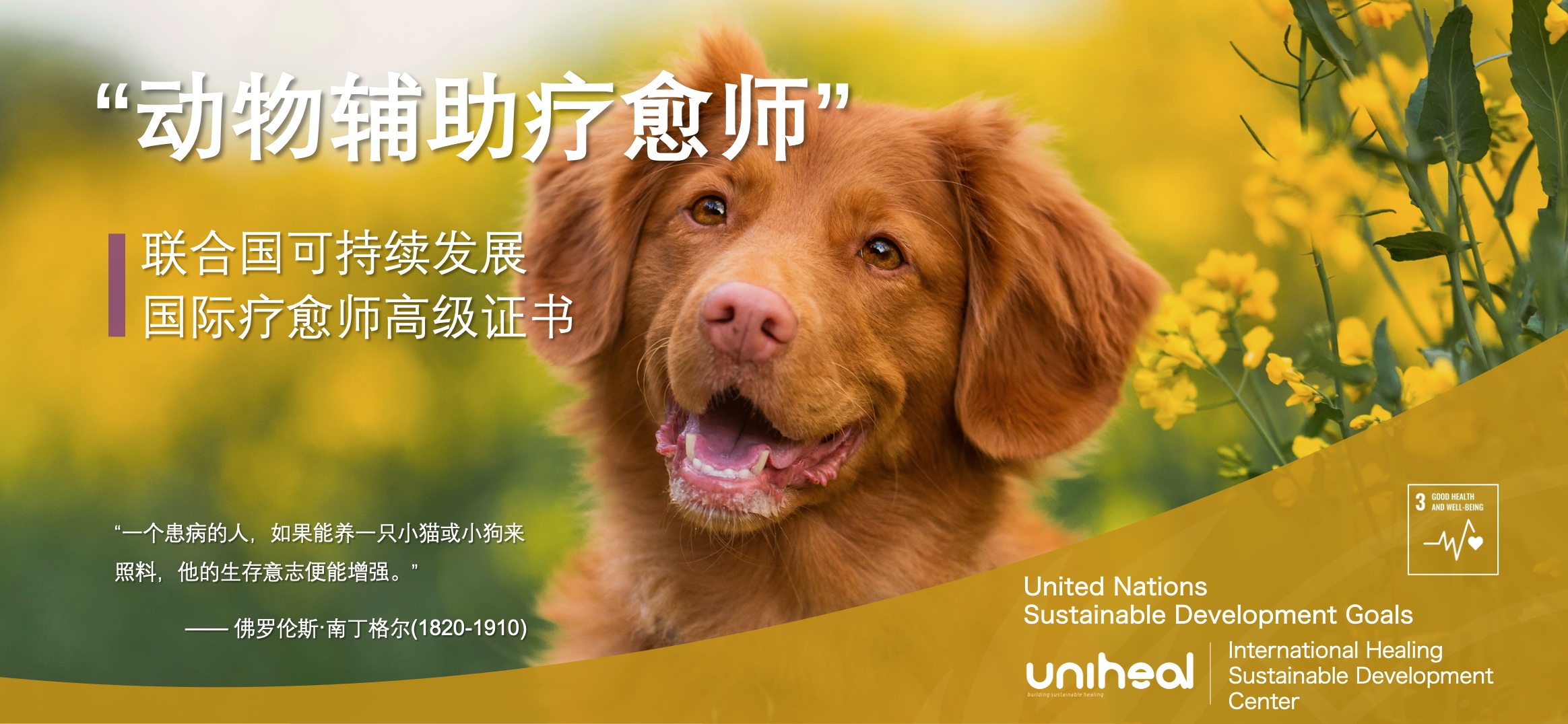 截屏2025-08-05 23.38.20.jpg